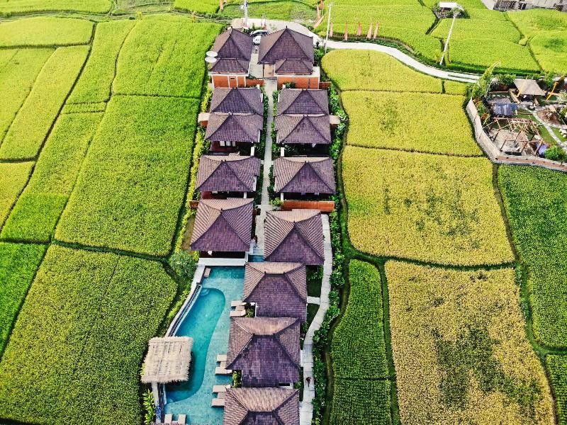กายางัน วิลลา อูบุด Villa เตกากาลัง ภายนอก รูปภาพ